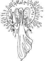 A coloring page of elves